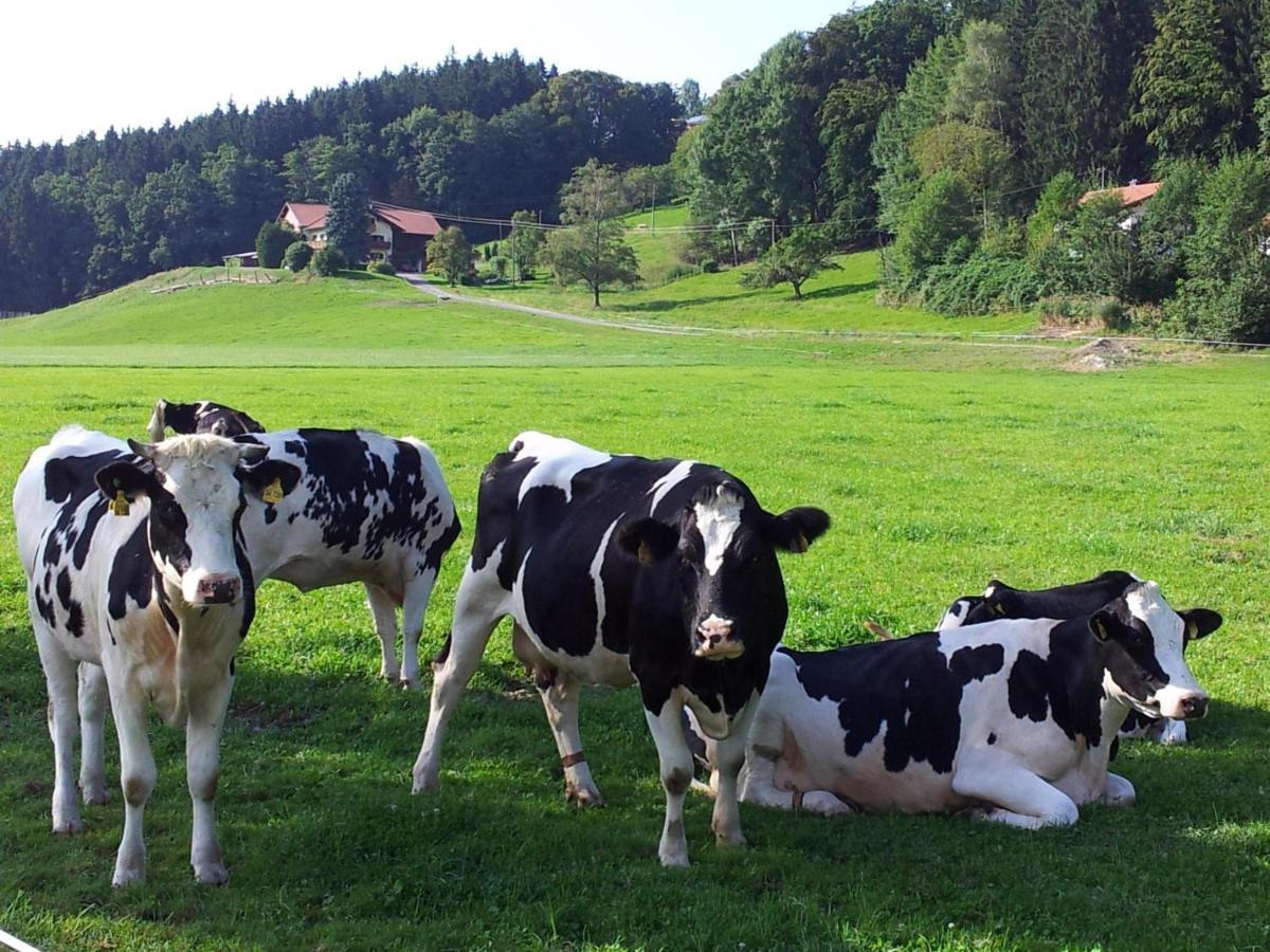 Zwischen Chiemsee Und Bergen Dg Bernau am Chiemsee Dış mekan fotoğraf
